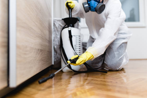 Best Exterminator Services  in Taft Heights, CA