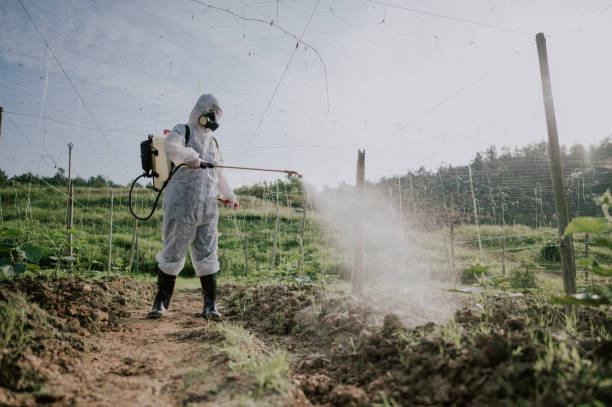 Best Commercial Pest Control Services  in Taft Heights, CA