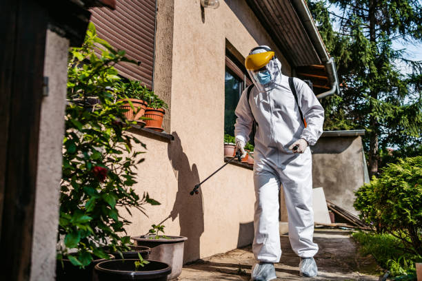Best Bird Control  in Taft Heights, CA