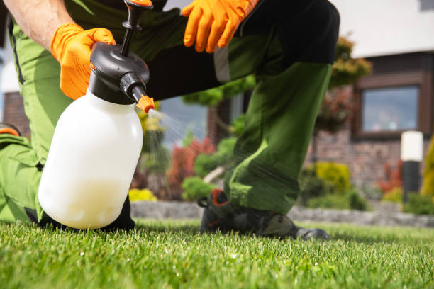 Best Bed Bug Extermination  in Taft Heights, CA