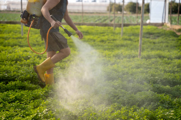 Taft Heights, CA Pest Control Company