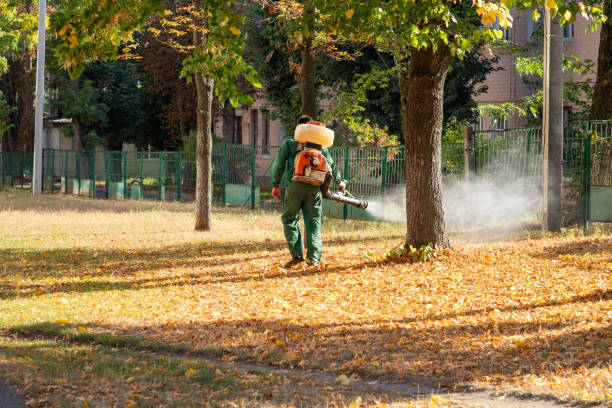 Best Spider Control Near Me  in Taft Heights, CA