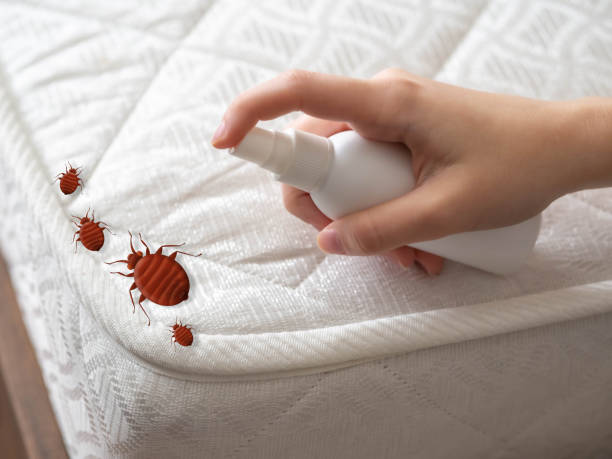 Taft Heights, CA Pest Control Pros