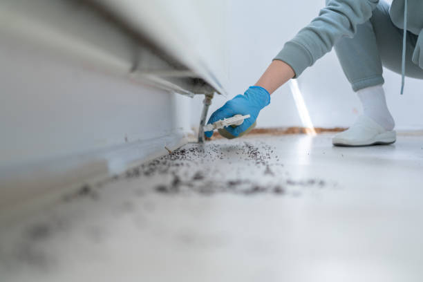 Best Pest Control for Restaurants  in Taft Heights, CA